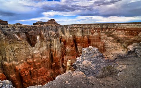 Coal Mine Canyon Arizona From Last Summers Travels Be Flickr