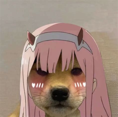 Pin By Vk On ️ Vk Anime Memes Anime Funny Dog Icon