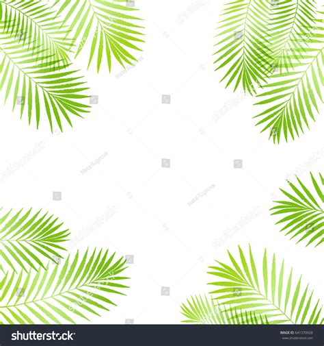 Summer Tropical Palm Tree Leaves Border Stock Vector