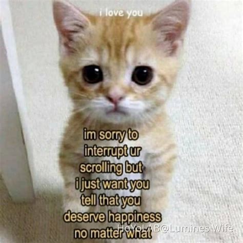 Wholesome memes because you deserve to be loved no matter what