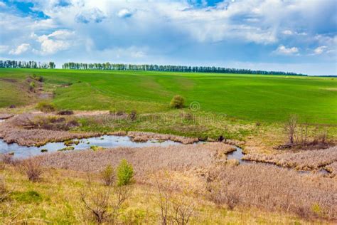 Green Spring In Russia Stock Photo Image Of Natural 105015352
