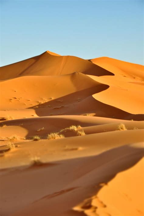 Merzouga desert in Morocco | Deserts, Morocco, Desert life