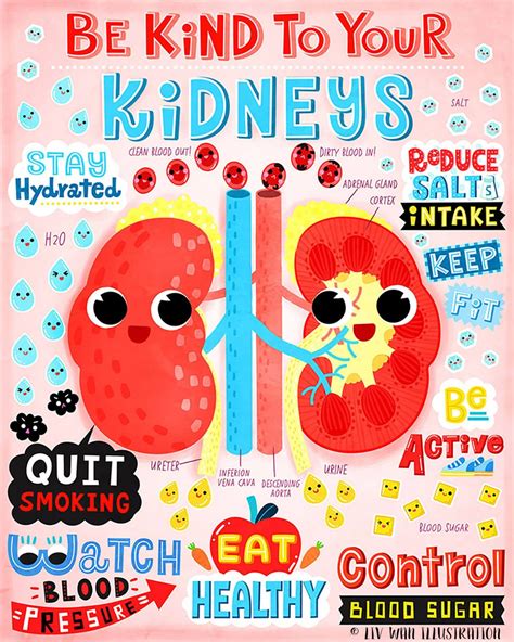 Be Kind To Your Kidney Anatomy Poster Mini Print Postcard Wall Art