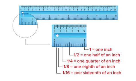If you want to find out the length of a nail, align its beginning or for example, align the left side of a ruler with the top of a pencil rubber. What is Ruler? - Definition, Facts & Example