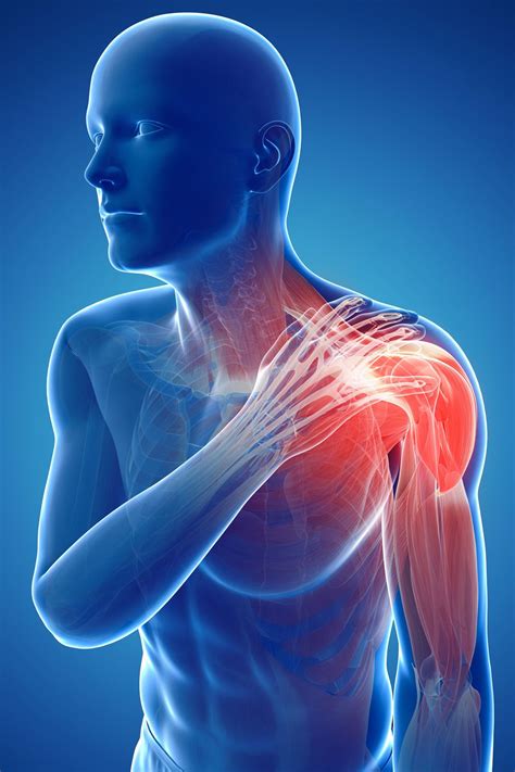 Shoulder Blade Pain Symptoms Causes And Treatment