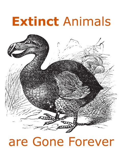 Extinct birds extinct animals prehistoric world prehistoric creatures dinosaur fossils dinosaur art reptiles mammals vida animal. Are Extinct Animals Gone Forever? - Don't Believe That!