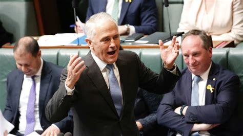 Same Sex Marriage Labors Plebiscite Rejection Over Mental Health Ridiculous Says Turnbull