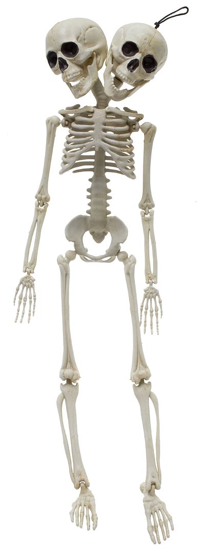 Two Headed Skeleton