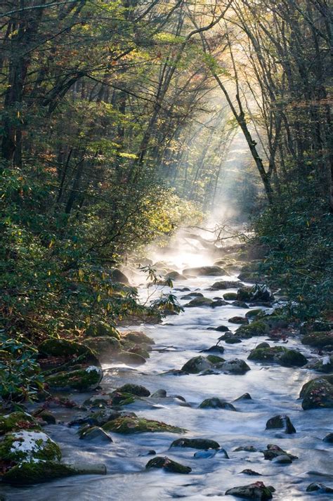 Check spelling or type a new query. Gatlinburg Cabin Rentals - Cabins in Gatlinburg, Tennessee ...