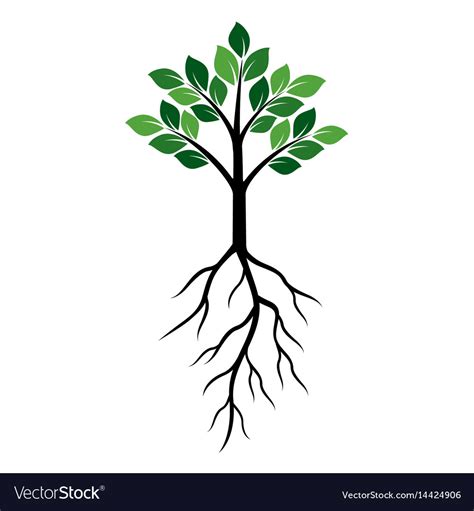 Shape Green Tree And Roots Royalty Free Vector Image