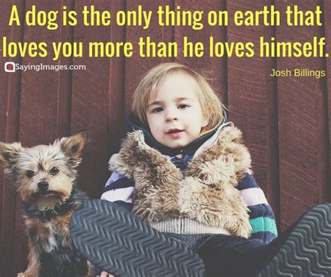 Dog Love Quotes On Unconditional Love And Belly Rubs