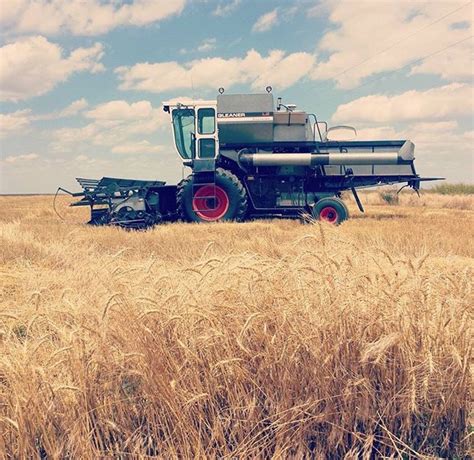 Gleaner L2 Combine in Wheat | Classic tractor, Combine 