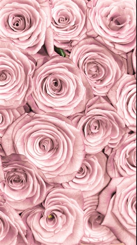 Flowers Lockscreen Rose Gold Rose Gold Wallpapers Pinterest