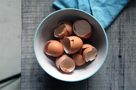 I know this is a huge list. 200+ Recipes that Use a LOT of Eggs