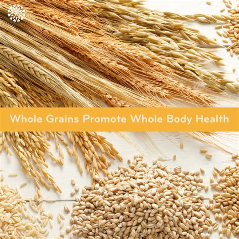 Whole Grains Promote Whole Body Health Ackerman Cancer Center
