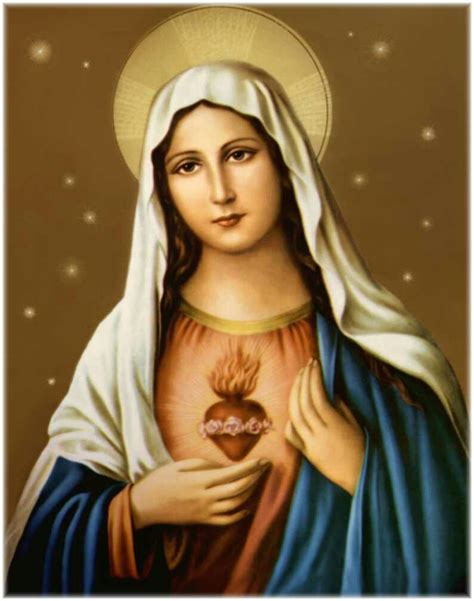 La Inspiradora Historia De La Virgen María Madre De Jesús