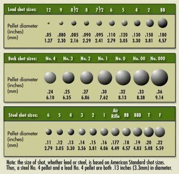Shotgun shells explained types of ammo birdshot buckshot. Best Home Defense Shotgun Ammo 12 Gauge and 20 Gauge Shells