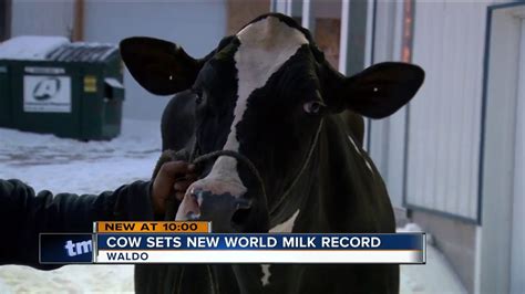 Wisconsin Cow Sets World Record For Milk Production Youtube