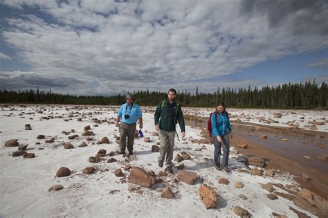 Spectacularly Quiet In Wood Buffalo National Park Spectacular Nwt