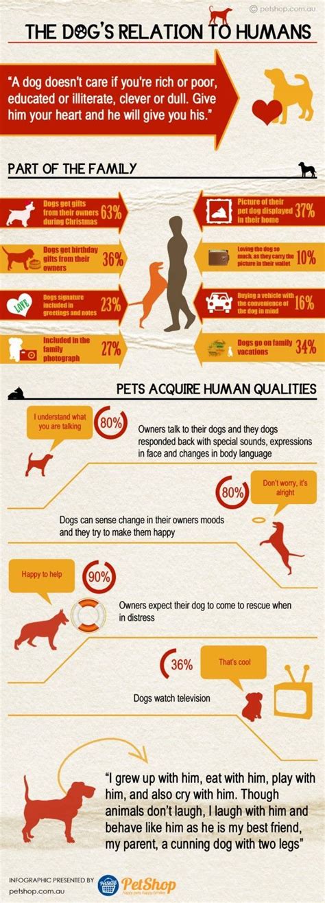Dogs Relation To Humans Infographic Dog Infographic Pets Dog Life