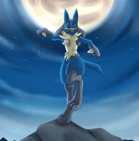Pin By Delia Christiansen On Lucario And Riolu