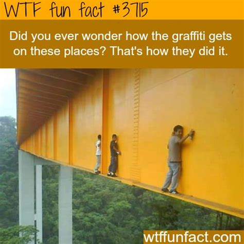 Wtf Facts Page 859 Of 1304 Funny Interesting And Weird Facts