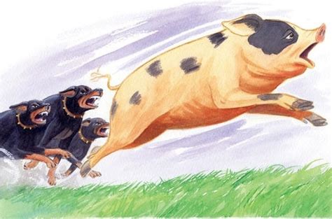 Animal Farm Terrorism
