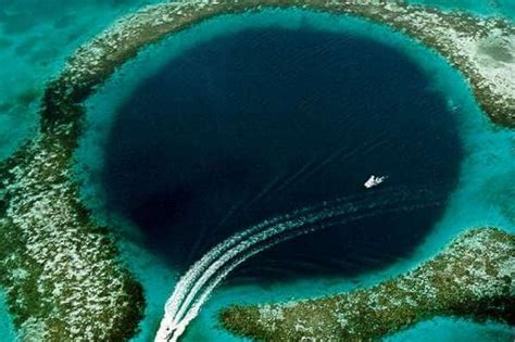 Dive Into The Great Blue Hole Belize Trip Geny