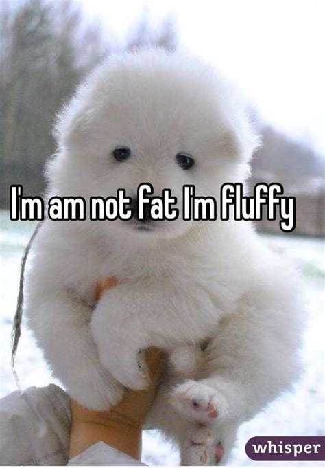 I M Am Not Fat I M Fluffy