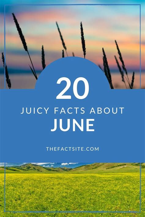 20 Juicy Facts About June The Fact Site