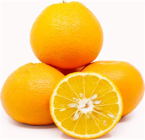 Navel Oranges Information And Facts