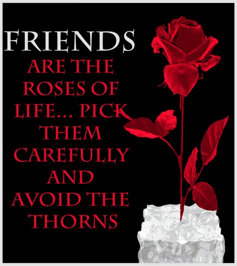 Friends Are The Roses Of Life Pictures Photos And Images For