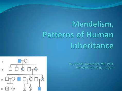 Ppt Mendelism Patterns Of Human Inheritance Powerpoint Presentation