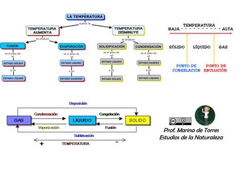 La Ciencia De La Vida Tema Nro 2 Estados De La Materia