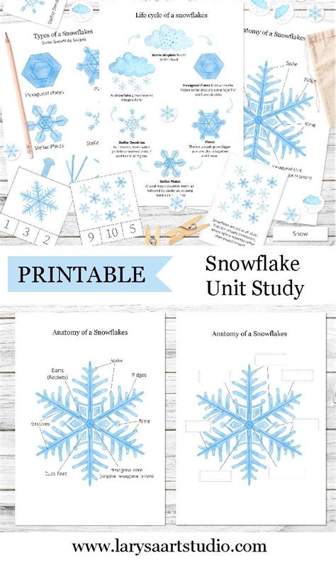 Snowflake Winter Unit Study Printable Snow Life Cycle Anatomy Of A
