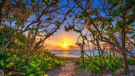 Carlin Park Autumn Sunrise Jupiter Florida Wallpaper Backiee