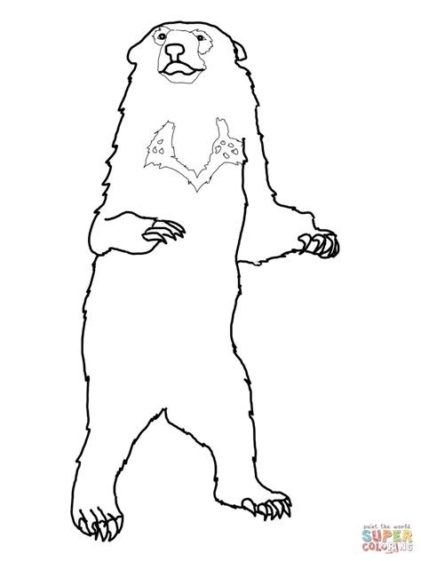 Brown Bear Brown Bear What Do You See Coloring Pages Coloring Home