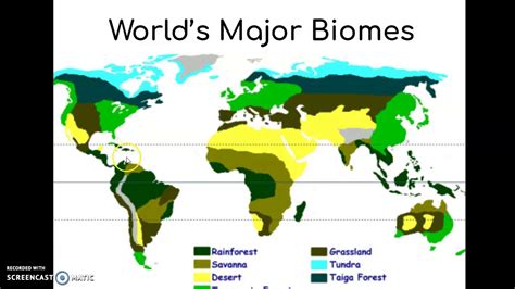 Abiotic/Biotic Factors & Biomes - YouTube