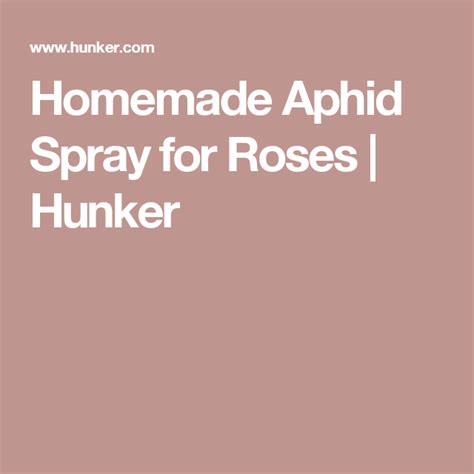 Homemade Aphid Spray For Roses Vinyl Floor Cleaners Vinyl Flooring