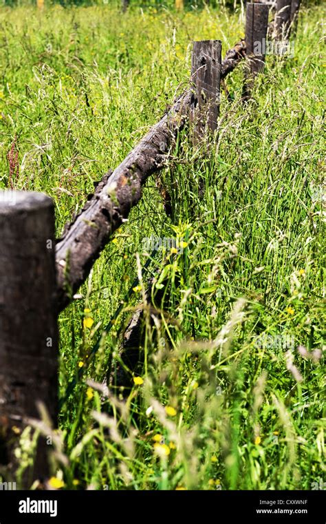 Hay And Grassland With Fence Stock Photo Alamy