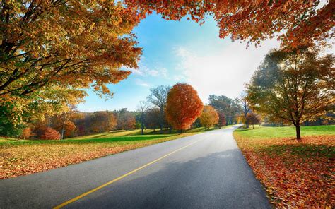 Country Road In The Fall Hd Wallpaper