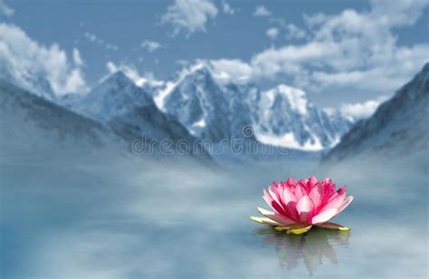 Lotus Flower On The Water On Mountains Background Stock Image Image