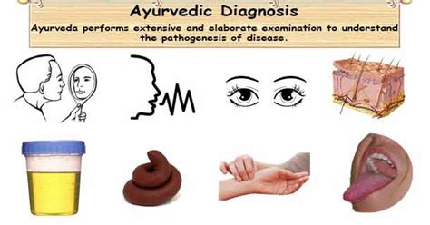 Ashtvidha Parikshan Methods Of Diagnosis In Ayurveda Chandigarh