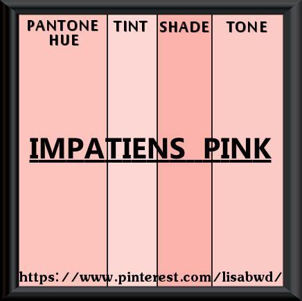 Pantone Seasonal Color Swatch Impatiens Pink Palette Pantone Colori