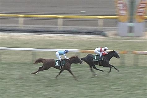 ダノンキングリー (danon kingly) は、日本の競走馬。主な勝ち鞍は2019年の毎日王冠（gii）、共同通信杯（giii）、2020年の中山記念（gii）。 馬名の意味は冠名＋王にふさわしい、王位に君臨することを願って。 【競馬・中山記念】ダノンキングリーは中山で実力を発揮 ...