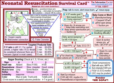 Survival Cards Quick Referencereview For Acls Pals Nicu