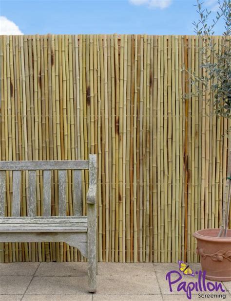 Bamboo garden screening brightens up outdoor spaces. Bambusmatte, 180cm x 190cm, Vollrohr, hell, Papillon™ 94,99