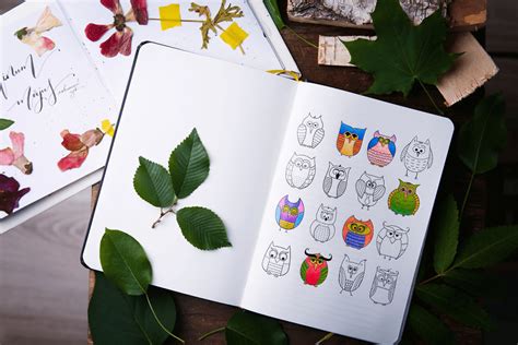 Huge pandas (frequently described as merely pandas) are black and white bears. Coloring Notebook With Beautiful Coloring Pages Helps ...