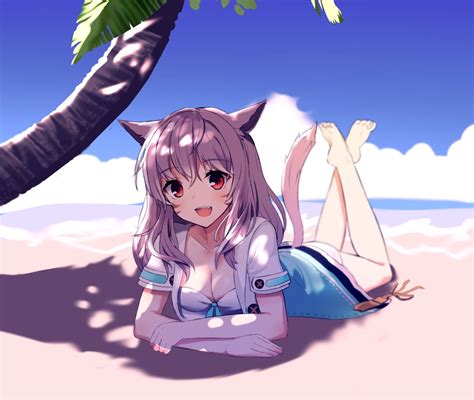 Anime Art Anime Neko Cat Girl Cat Ears Cat Tail Hot