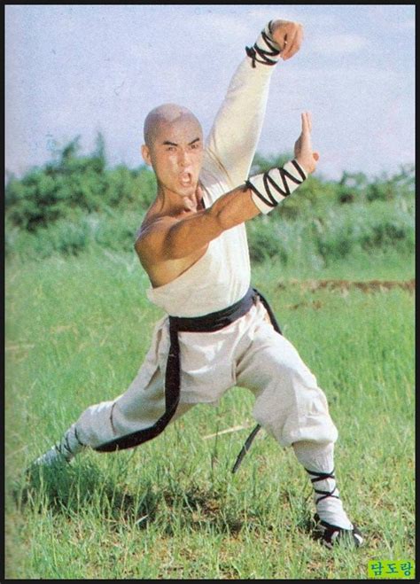 Alexander Lo Rei Kung Fu Movie Star Kung Fu Kung Fu Movies Kung